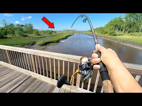 Видео: Этот мост был ЗАГРУЖЕН БОЛЬШОЙ РЫБОЙ (Поймай и приготовь)