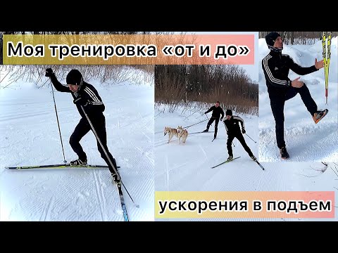Видео: Моя тренировка на беговых лыжах. Ускорения в подъем