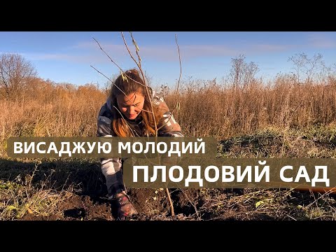 Видео: РОЗПОЧАЛА ПОСАДКУ ПЛОДОВОГО САДУ🌳Які дерева обрали і чому?