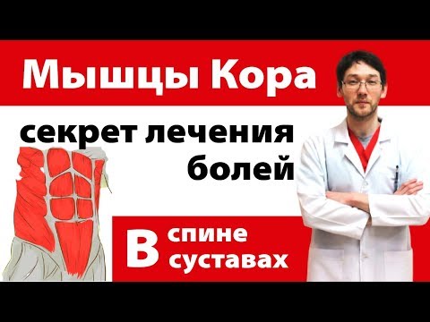 Видео: Как активировать мышцы "Кора". Секрет лечения болей в спине и суставах