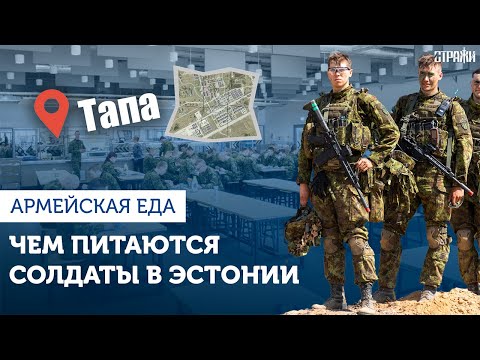 Видео: Столовая Тапа - как питаются в эстонской армии? 🇪🇪