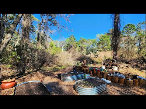 Видео: Новости Садоводства - Деревья Кусты Грядки и Другое Март 2024