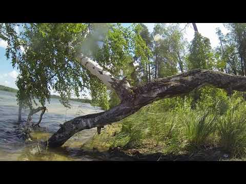 Видео: Берега и глубины Белого озера. Николаевский район, Ульяновская область.