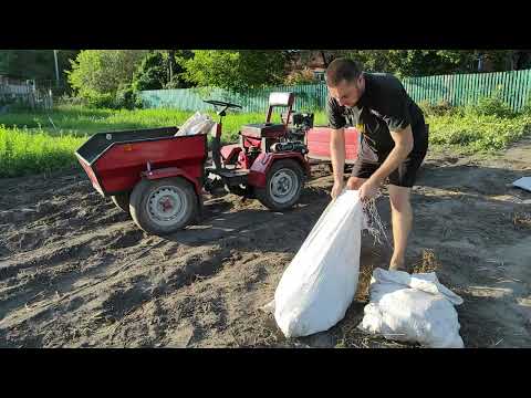 Видео: Мотоблок Кентавр. Копаю картоплю.
