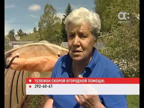 Видео: Голова садовая. Выращиваем землянику