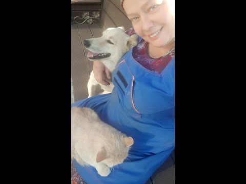 Видео: Дела мои бабские на хозяйстве. Часть 3-я.Уборка после зимы,кошки и...заяц-неврастеник.