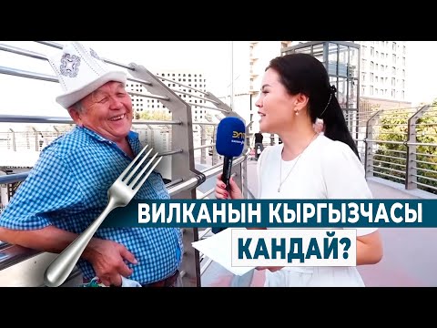 Видео: ВИЛКАНЫН КЫРГЫЗЧАСЫ КАНДАЙ? | ТЕЛЕТЕСТ