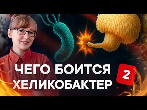 Видео: Эти 3 вещества лечат ЖКТ. Гастриты. Колиты. Рефлюкс. Изжога. ЯЗВА ЖЕЛУДКА.