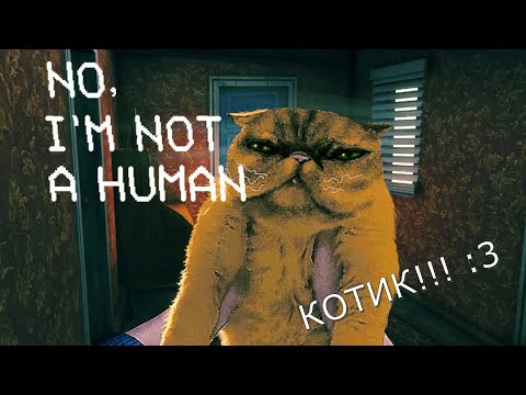 Видео: No. I'm not a Human #3 Котик и чат рулетка по телефону
