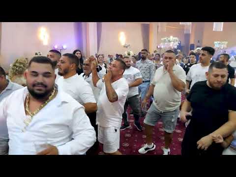 Видео: РИСТЕМ 2025 ЗА БИЗОНА 2025