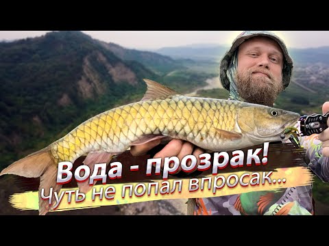 Видео: Трофейный ЗОЛОТОЙ МАСИР! Лёгкий спиннинг по горным рекам