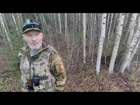 Видео: 30 октября 2025 г.