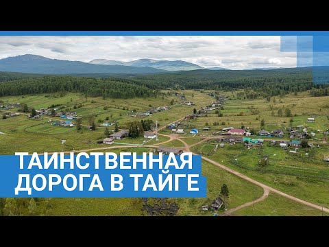 Видео: Необычное сооружение нашли в сибирской тайге. Что это? | NGS24.ru