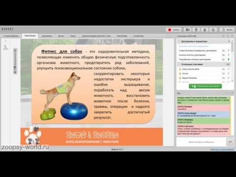 Видео: Наталья Подобреева. Фитнес для Животных. Роль в жизни животного.