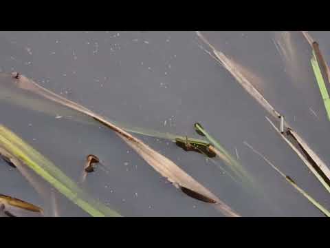 Видео: Новые колеса.Застряли все.Часть 1.