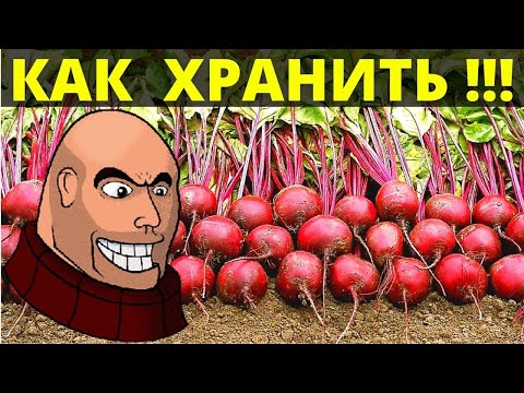 Видео: Как ПРАВИЛЬНО ХРАНИТЬ СВЕКЛУ - главные советы