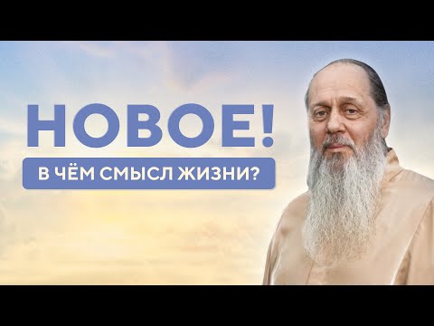 Видео: 2024! В чём смысл жизни?