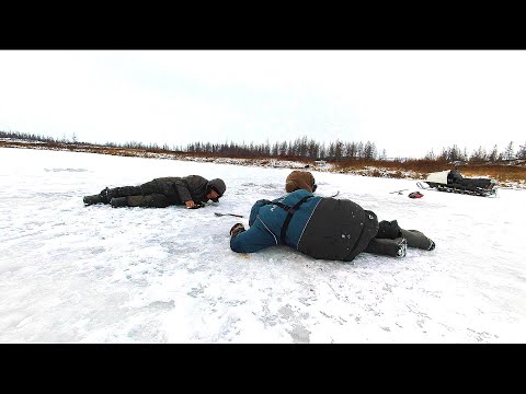 Видео: РЫБАЛКА В ПРИГЛЯДКУ! Первый лед 2023 2024 Путешествие на Ямал