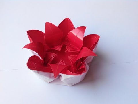 Видео: Цветок 12 (Алексей Жигулёв), Flower 12