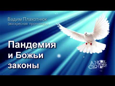 Видео: Вадим Плахотнюк Пандемия и Божьи законы
