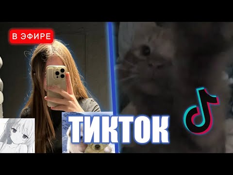 Видео: ЛИЗА СМОТРИТ ТИКТОКИ 😂 #26 | iceicell