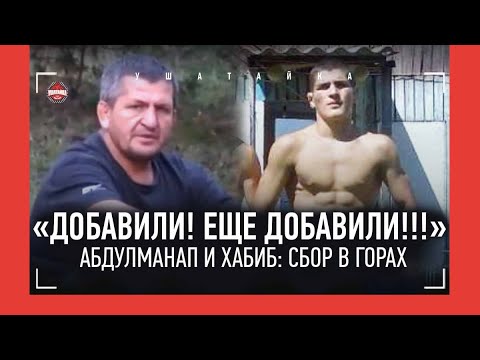 Видео: МОЛОДОЙ ХАБИБ: "Как 40?! Я 50 сделал!" / Спартанские сборы у Абдулманапа - РЕДКИЕ КАДРЫ