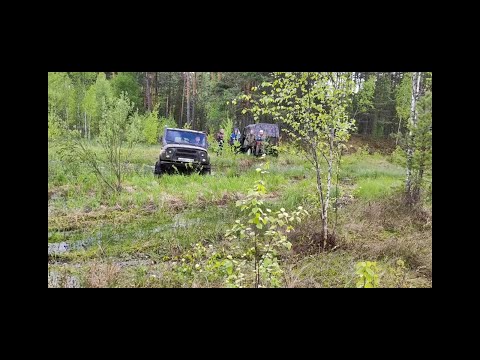 Видео: УАЗы на максималках! Ковровые болота, черняга на низком давлении шин cst 33.