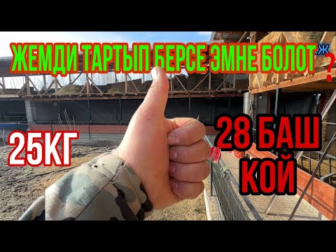 Видео: Бул видео Пайда Келтирет буйруса👍👍👍