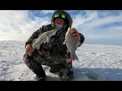 Видео: ЭКСТРЕМАЛЬНАЯ РЫБАЛКА!ДОСТАЮ ЗАСТРЯВШИХ КАРАСЕЙ РУКАМИ!Карась,окунь,судак.Ловля крупного карася