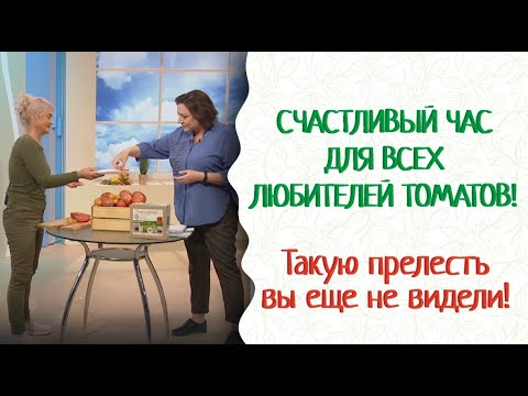 Видео: Помидоры от посева до урожая. Проект «Мичурин-томаты». Еда +800% пользы. Успех гарантирован!