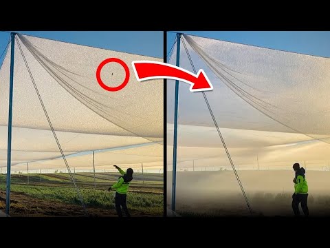 Видео: Удивительные Вещи, Которые Вы Не Видели. Часть 34