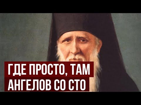 Видео: «Где просто, там ангелов со сто»  Амвросий Оптинский раскрыл главный признак святости в обычном чело