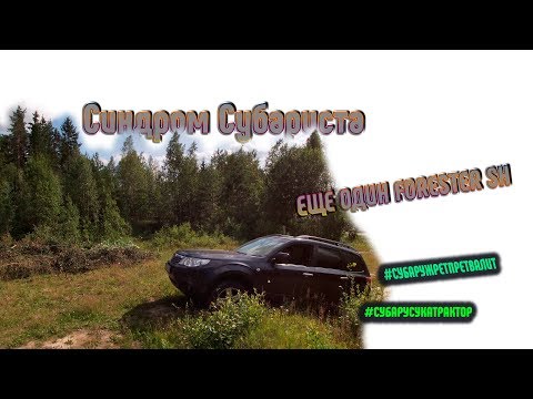 Видео: Синдром Субариста- еще один Forester SH