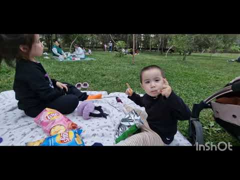 Видео: Алматының түндері ай