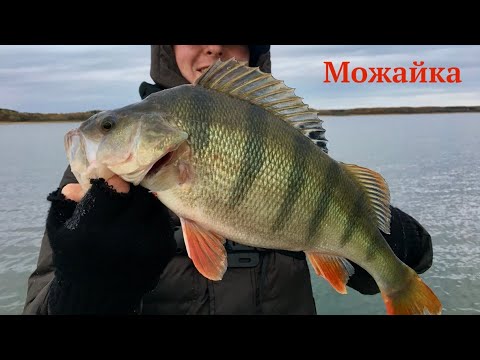 Видео: ОКУНЁК. Подмосковный