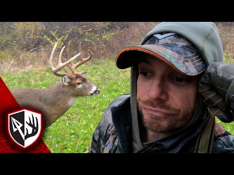 Видео: Сезон, который меня проверил! | Bowhunting Illinois Bucks