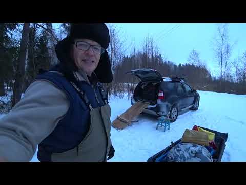 Видео: На рыбалку с мотособакой.  Клёв окуня в оттепель, при низком давлении.