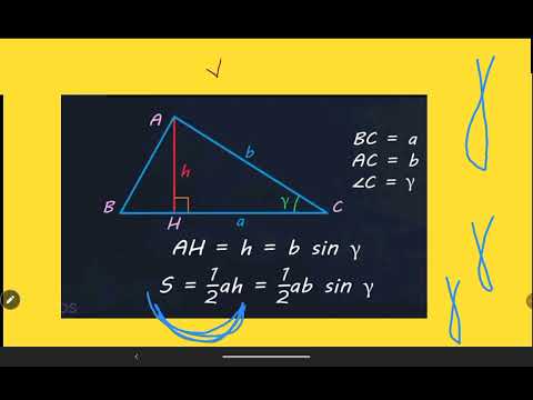 Видео: 12 ноября 2025 г.