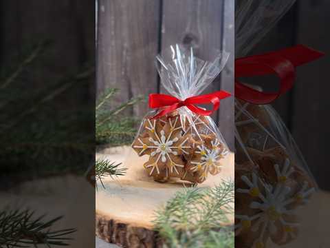 Видео: 24 октября 2025 г.