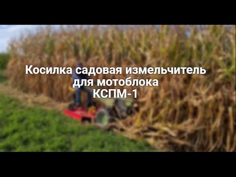 Видео: Мульчер для мотоблока КСПМ-1. Измельчение стеблей кукурузы. Обзор в работе.