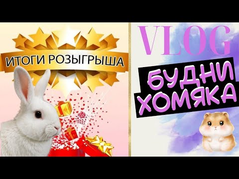 Видео: Vlog: Будни колориста 50 - Кто выиграл приз? #раскраски антистресс