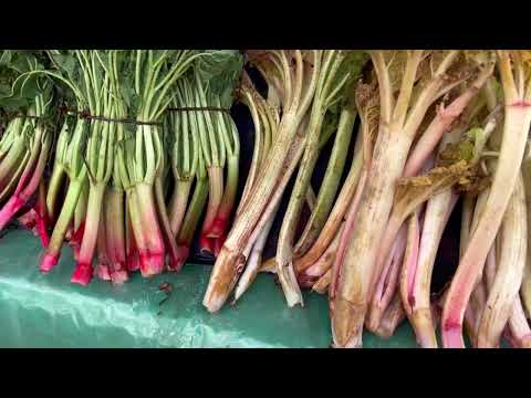 Видео: Сариосиёга Душанбе орқали саёҳат