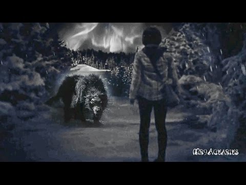 Видео: Кай / Бонни -  Не получит волк обед...