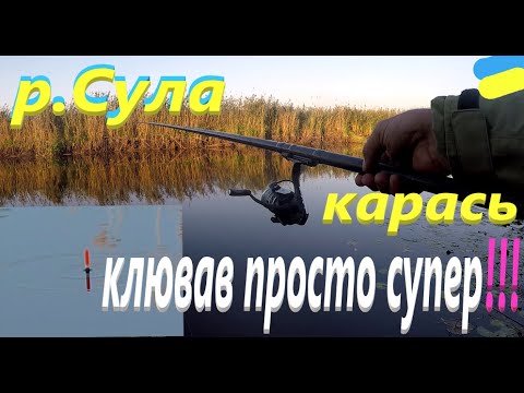 Видео: #Сула # Карась на поплавочку # СУПЕР кльов # частина 2 #РибачуЯкУмію