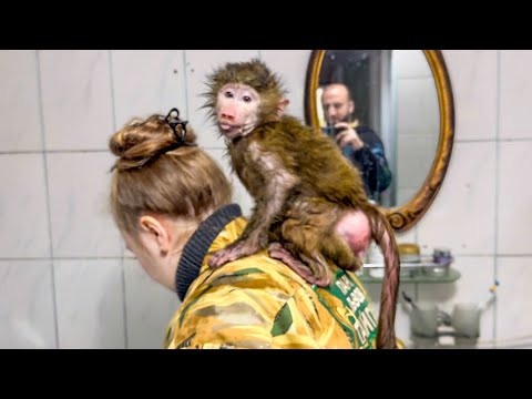 Видео: Анфиса, ну НА КОГО ТЫ ПОХОЖА? Бегом идем мыться!))