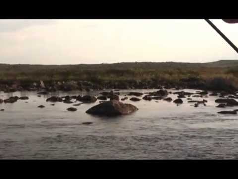 Видео: Нахлыст Стрим ТВ 7