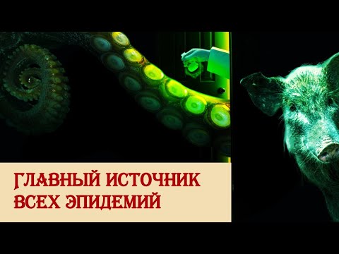 Видео: Главный источник всех эпидемий