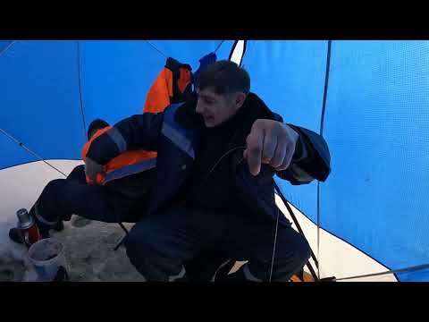 Видео: Рыбалка на льду Капчагай