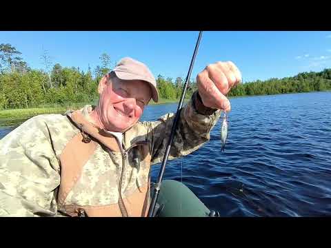 Видео: Оз.Березовское Архангельская область.Щуки не охотно,но ловятся.