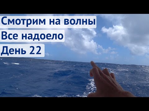 Видео: Волны растут. Все надоело | Трансатлантика день 22